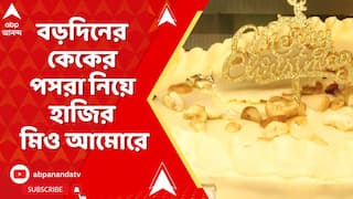 Mio Amore: বড়দিনের কেকের পসরা নিয়ে হাজির মিও আমোরে, রয়েছে বাটার ফ্রুট কেক থেকে রিচ পাম কেক -সহ বিভিন্ন বাহারি স্বাদ