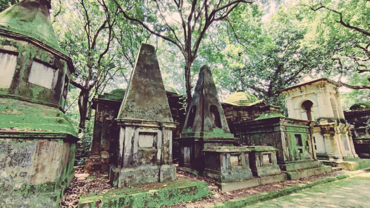 (Image Source: Twitter/@sophierossuk)