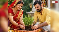 Tulsi: स्त्री या पुरुष किसे लगाना चाहिए तुलसी का पौधा, कब मिलेगा ज्यादा पुण्य