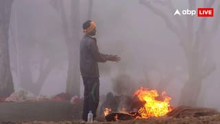 29, 30 और 31 दिसंबर को यूपी-दिल्ली और बिहार में कैसा रहेगा मौसम? IMD ने कर दी भविष्यवाणी