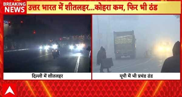 Weather Alert: Severe Cold Wave Grips North India; Delhi-NCR Faces Air Pollution Crisis