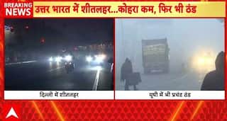 Weather Alert: Severe Cold Wave Grips North India; Delhi-NCR Faces Air Pollution Crisis