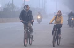 শীতে জবুথবু ? কোন ফর্মুলায় সতেজ হবে শরীর, তরতাজা হয়ে উঠবে রোগ প্রতিরোধ ক্ষমতা