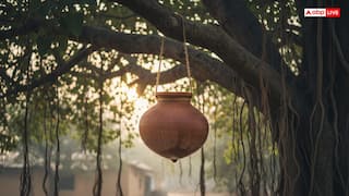 Hindu Funeral Rituals: अंतिम संस्कार के बाद पीपल पर मटका क्यों लटकाया जाता है? जानिए धार्मिक रहस्य