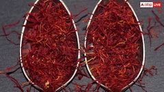 Red Gold Spice: इस मसाले को कहा जाता है लाल सोना, जानें किस देश में होता है इसका सबसे ज्यादा उत्पादन