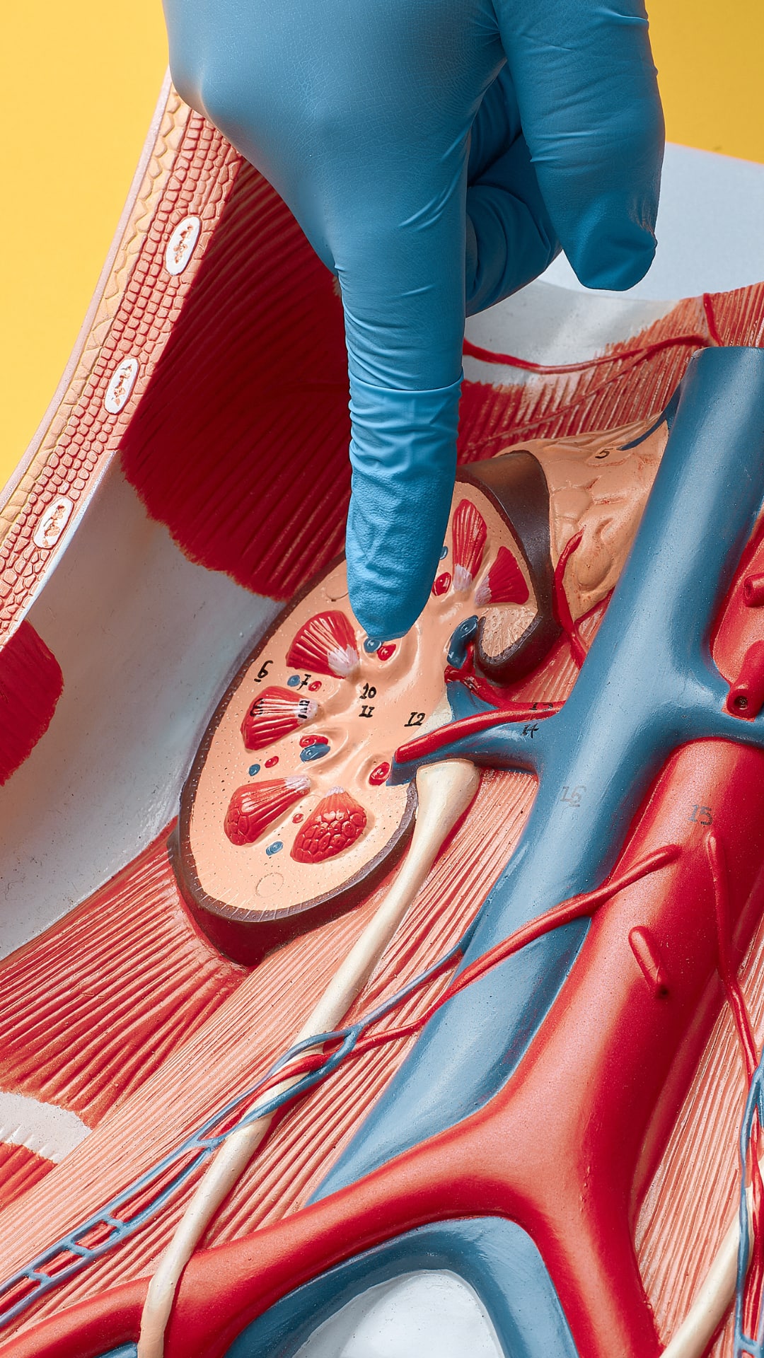 5 Early Facial Symptoms Of Kidney Failure You Should Never Ignore