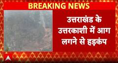 Uttarkashi के जंगलों में लगी भीषण आग, आग पर काबू पाने के लिए एक्शन में दमकल । Uttarakhans News
