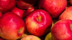 Health Tips: સફરજનનું વધુ પ્રમાણમાં સેવન તમને કરી શકે છે બીમાર, જાણો કયા લોકોએ ન કરવું જોઈએ સેવન