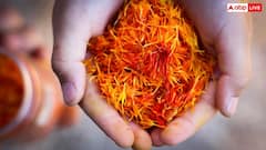 Red Gold Spice: इस मसाले को कहा जाता है लाल सोना, जानें किस देश में होता है इसका सबसे ज्यादा उत्पादन