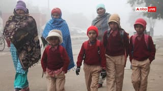 यूपी के इस जिले में सभी स्कूलों में छुट्टियों का ऐलान, कड़ाके की ठंड और कोहरे के बीच फैसला