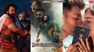 Christmas Box Office Collection: 'धुरंधर' के आगे नहीं चला किसी का जादू, कार्तिक की फिल्म से लेकर 'वृषभ' तक का कैसा रहा हाल?