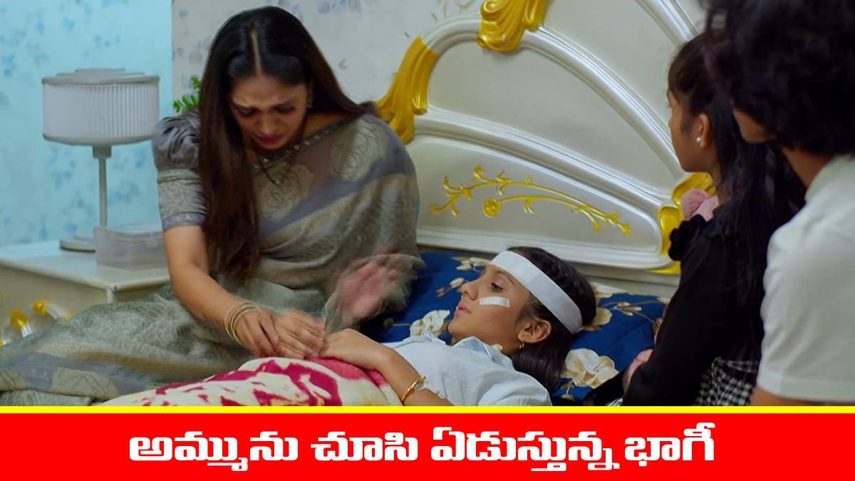 Nindu Noorella Saavasam Serial Today December 26th: ‘నిండు నూరేళ్ల సావాసం’ సీరియల్‌: అమ్మును చూసి భాగీ ఎమోషనల్‌ - భాగీ ప్రవర్తన చూసి షాకైన పిల్లలు  