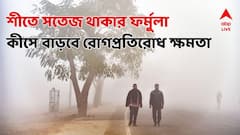 শীতে জবুথবু ? কোন ফর্মুলায় সতেজ হবে শরীর, তরতাজা হয়ে উঠবে রোগ প্রতিরোধ ক্ষমতা