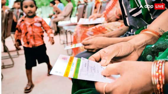 कोई काम का नहीं रहेगा वॉलेट में रखा पैन कार्ड, अगर 31 दिसंबर तक नहीं कराया ये काम; चेक करें डिटेल कोई काम का नहीं रहेगा वॉलेट में रखा पैन कार्ड, अगर 31 दिसंबर तक नहीं कराया ये काम; चेक करें डिटेल