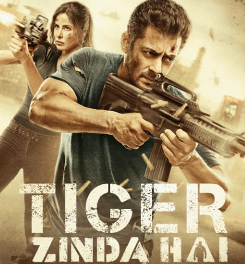 बजरंगी भाईजान' से 'सुल्तान' तक, ये हैं सलमान खान की हाईएस्ट ग्रॉसिंग फिल्में, बॉक्स ऑफिस पर तोड़े थे कमाई के रिकॉर्ड