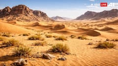 दुनिया के इस हिस्से पर नहीं है किसी का अधिकार, कोई भी झंडा गाड़कर कह देता है अपना देश