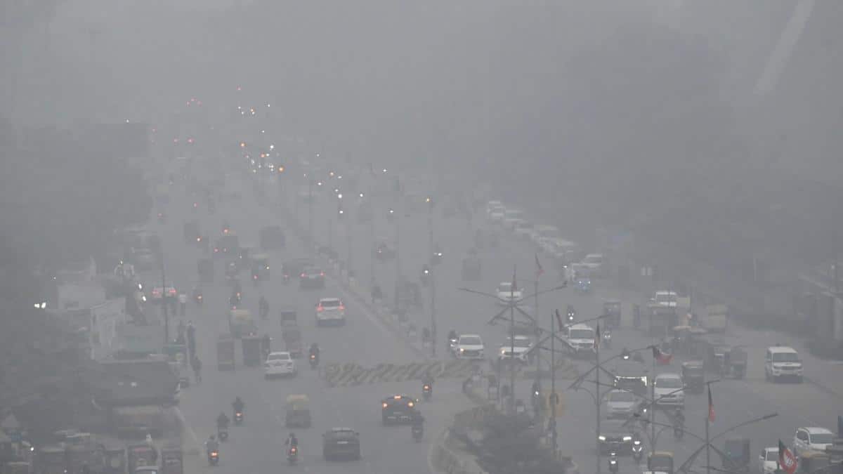 The Art of Baking: From Classic Bread to Artisan Pastries