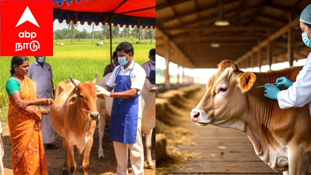 விவசாயிகளுக்கு முக்கிய அறிவிப்பு..! கால்நடைகளை பாதுகாக்க இதை தவறவிடாதீர்கள்!