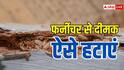 फर्नीचर में दीमक लग जाए, तो इन आसान तरीकों से हटाएं