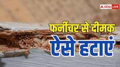फर्नीचर में दीमक लग जाए, तो इन आसान तरीकों से हटाएं