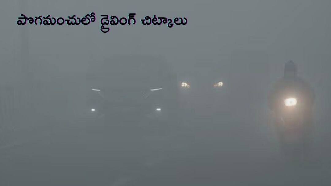 దట్టమైన పొగమంచులో డ్రైవింగ్ చేస్తున్నారా? మీ ప్రాణాలను కాపాడే సూచనలు ఇవి! Top Lifesaving Tips For Driving In Foggy Weather India Telugu దట్టమైన పొగమంచులో డ్రైవింగ్ చేస్తున్నారా? మీ ప్రాణాలను కాపాడే సూచనలు ఇవి!