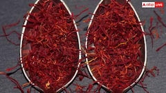 Red Gold Spice: આ મસાલાને કહેવામાં આવે છે લાલ સોનું, જાણો કયાં દેશમાં થાય છે સૌથી વધારે ઉત્પાદન