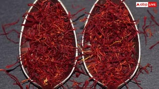 Red Gold Spice: આ મસાલાને કહેવામાં આવે છે લાલ સોનું, જાણો કયાં દેશમાં થાય છે સૌથી વધારે ઉત્પાદન