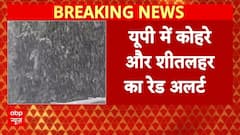 Cold Wave: पहाड़ो से मैदान तक ठंड का कहर , IMD ने इन राज्यों में जारी की चेतावनी | Weather Alert