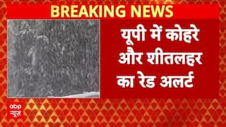 Cold Wave: पहाड़ो से मैदान तक ठंड का कहर , IMD ने इन राज्यों में जारी की चेतावनी | Weather Alert