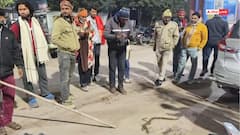 महोबा में किसान को डसने वाले नाग-नागिन को लेकर अस्पताल पहुंचे परिजन, डॉक्टर भी रह गए हैरान