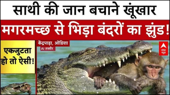 Odisha Breaking: साथी की जान बचाने खूंखार मगरमच्छ से भिड़ा बंदरों का झुंड! | ABP News