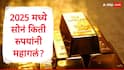Gold Rate : सोनं एका वर्षात 75913 रुपयांनी महागलं, चांदीची वर्षभरात मोठी झेप, चांदी यंदा किती रुपयांनी महागली?