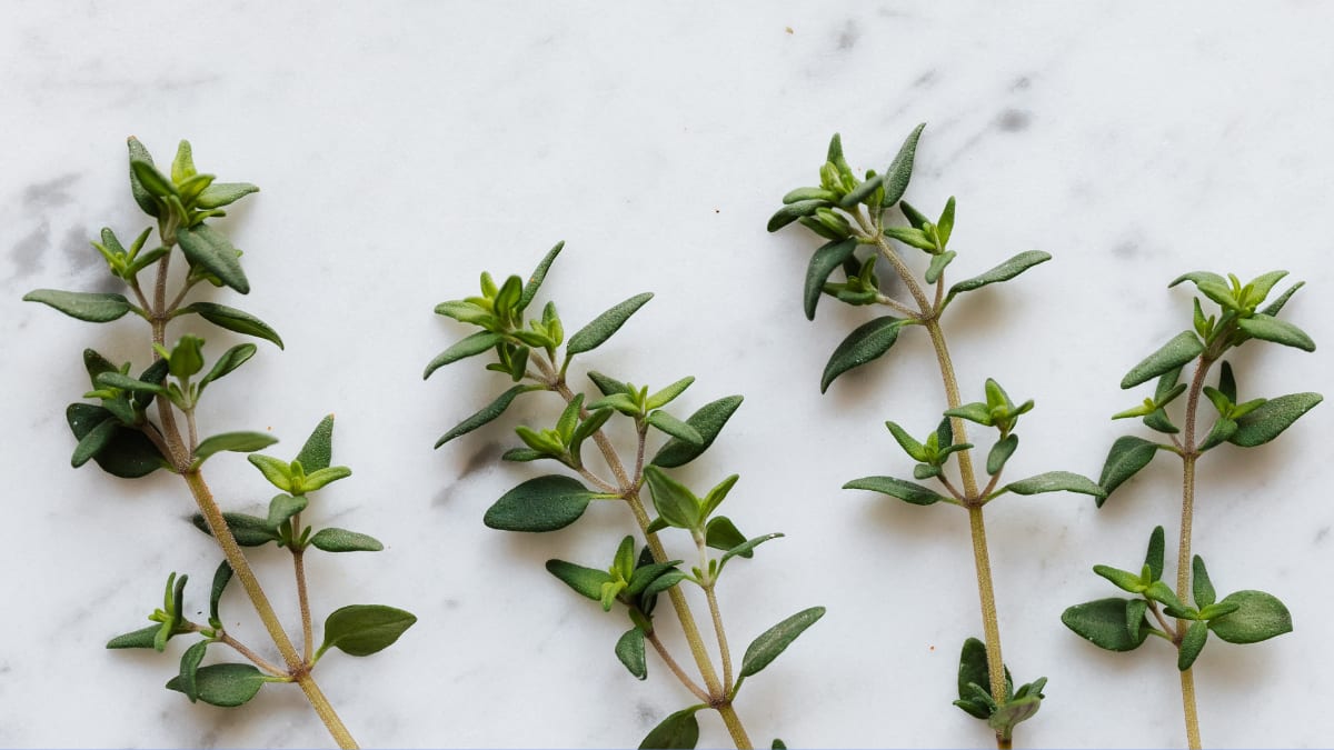 8 Science-Backed Reasons Thyme Is One Of The Healthiest Herbs For Winter