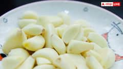 लहसुन-शहद के साथ खजूर खाने से क्या सच में बढ़ जाता है स्पर्म काउंट, क्या कहते हैं डॉक्टर्स?