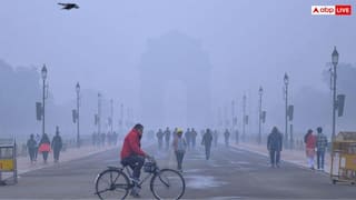 Delhi Weather: नए साल पर कंपकंपाने को तैयार दिल्ली! पहाड़ों पर बर्फबारी का असर, IMD का कड़ाके की ठंड का अलर्ट
