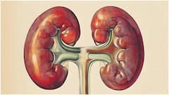 శీతాకాలంలో కిడ్నీని డ్యామేజ్ చేసే రోజువారీ తప్పులు ఇవే.. ఈ జాగ్రత్తలు తీసుకోండి