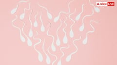 लहसुन-शहद के साथ खजूर खाने से क्या सच में बढ़ जाता है स्पर्म काउंट, क्या कहते हैं डॉक्टर्स?