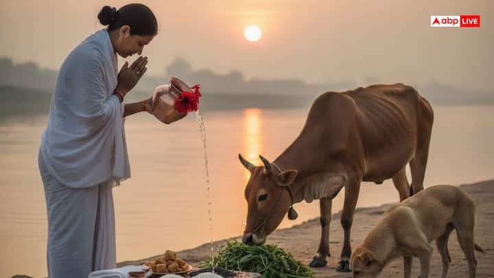 मकर संक्रांति के दिन पितृ दोष शांत करने के लिए ब्रह्म मुहूर्त में स्नान करें. उसके बाद सूर्य देव को तांबे के लोटे में जल, तिल और लाल फूल अर्पित करें. इसके बाद पितरों का स्मरण करते हुए तिल, गुड़, चावल और वस्त्र का दान करें तथा गाय, कुत्ते या कौवों को भोजन कराएं.
