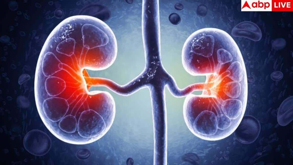 Kidney Disease Symptoms: पेशाब में झाग से लेकर सांस फूलने तक… किडनी की बीमारी के ये संकेत भूलकर भी न करें नजरअंदाज