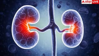 Kidney Disease Symptoms: पेशाब में झाग से लेकर सांस फूलने तक… किडनी की बीमारी के ये संकेत भूलकर भी न करें नजरअंदाज