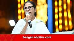 'কর্মসংস্থান বাড়বে, মানুষের আয় হবে..', নিউটাউনে দুর্গা অঙ্গনের শিলান্যাসে গিয়ে বড় ঘোষণা মুখ্যমন্ত্রীর