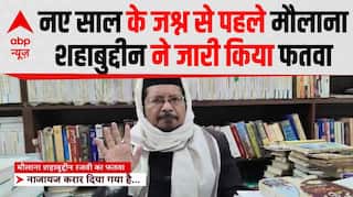 Maulana Shahabuddin Razvi ने मुस्लिमों से नए साल का जश्न ना मनाने की अपील | New Year 2026