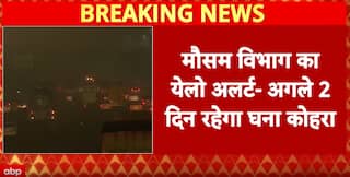 Delhi Winter: Dense Fog Grips Delhi-NCR, Visibility Drops Sharply as Weather Department Issues Alert