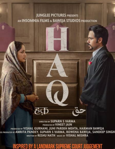 OTT Release This Week: Maha Entertainment, from 'Stranger Things' to 'Haq', these new film series are being released in the last week of December.