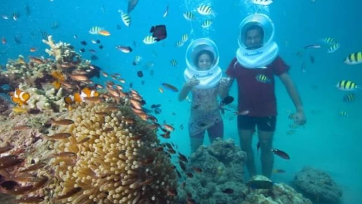 (Image Source: Pinterest/deepkamalcompany)