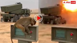 Video: जंग की तैयारी कर रहे थे सैनिक, बंदर ने पीछे से लॉन्च कर दी मिसाइल, वीडियो हो रहा वायरल