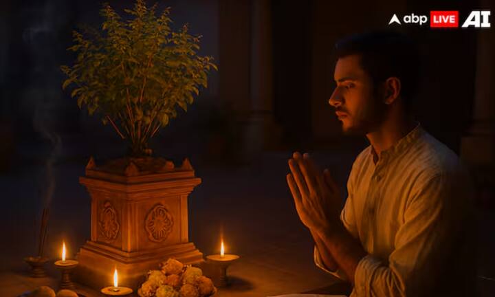ਹਿੰਦੂ ਧਰਮ ਵਿੱਚ, ਤੁਲਸੀ ਦੇ ਪੌਦੇ ਨੂੰ ਪਵਿੱਤਰ ਮੰਨਿਆ ਜਾਂਦਾ ਹੈ। ਇਸ ਲਈ, ਤੁਲਸੀ ਦੇ ਪੱਤਿਆਂ ਨੂੰ ਦੇਵਤਿਆਂ ਨੂੰ ਭੇਟ ਕਰਨ ਲਈ ਵਰਤਿਆ ਜਾਣਾ ਚਾਹੀਦਾ ਹੈ। ਹਾਲਾਂਕਿ, ਭਗਵਾਨ ਸ਼ਿਵ, ਗਣੇਸ਼ ਅਤੇ ਭੈਰਵ ਨੂੰ ਤੁਲਸੀ ਦੇ ਪੱਤੇ ਚੜ੍ਹਾਉਣ ਤੋਂ ਬਚੋ। ਇਸ ਤੋਂ ਇਲਾਵਾ, ਐਤਵਾਰ, ਏਕਾਦਸ਼ੀ, ਦਵਾਦਸ਼ੀ, ਸੰਕ੍ਰਾਂਤੀ ਜਾਂ ਸ਼ਾਮ ਨੂੰ ਤੁਲਸੀ ਦੇ ਪੱਤੇ ਤੋੜਨ ਤੋਂ ਬਚੋ। ਅਜਿਹਾ ਕਰਨ ਨਾਲ ਦੇਵੀ ਲਕਸ਼ਮੀ ਨਾਰਾਜ਼ ਹੁੰਦੀ ਹੈ, ਜਿਸ ਨਾਲ ਵਿੱਤੀ ਮੁਸ਼ਕਲਾਂ ਦਾ ਸਾਹਮਣਾ ਕਰਨਾ ਪੈਂਦਾ ਹੈ।