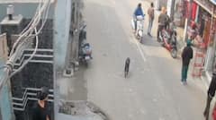 ਪੰਜਾਬ 'ਚ ਲਗਾਤਾਰ ਵੱਧ ਰਹੀਆਂ ਗੋਲੀਬਾਰੀ ਦੀਆਂ ਵਾਰਦਾਤਾਂ, ਹੁਣ ਇਸ ਸ਼ਹਿਰ 'ਚ ਅੰਨ੍ਹੇਵਾਹ ਹੋਈ ਫਾਇਰਿੰਗ; ਲੋਕਾਂ 'ਚ ਫੈਲੀ ਦਹਿਸ਼ਤ...