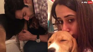 वरुण धवन के पेट डॉग की मौत, दुख में डूबे एक्टर, लिखा- फिर मिलेंगे