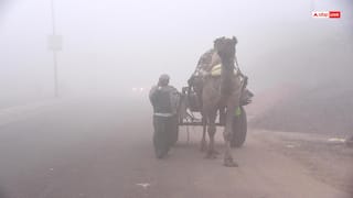 नए साल पर ठंड से ठिठुरेगा राजस्थान! कड़ाके की सर्दी और घने कोहरे के लिए रहें तैयार, IMD का मौसम अपडेट